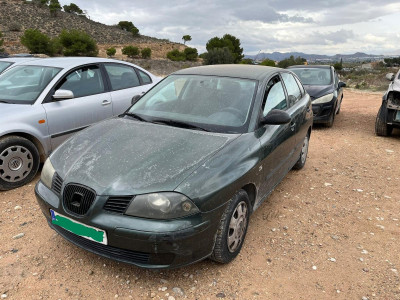 SEAT IBIZA (6L1)
