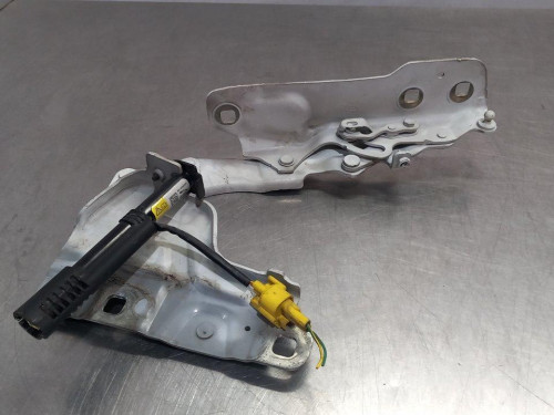  BISAGRA CAPO IZQUIERDA Jaguar XF 