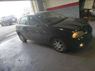 SEAT IBIZA (6L1)