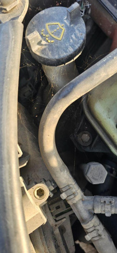  DEPOSITO LIMPIA Ford MONDEO BERLINA (GE) 