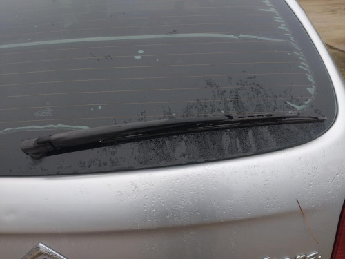 BRAZO LIMPIA TRASERO Citroen Xsara Picasso (1999->) Citroen Xsara Picasso (1999->) 