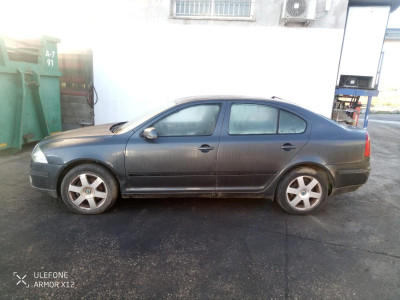 SKODA OCTAVIA BERLINA (1Z3)