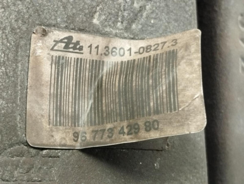PINZA DE FRENO DELANTERA IZQUIERDA DS 4 