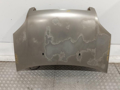 CAPO, FORD, FUSION (CBK)