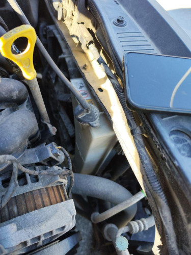 RADIADOR AGUA, HYUNDAI, I20 (PB)