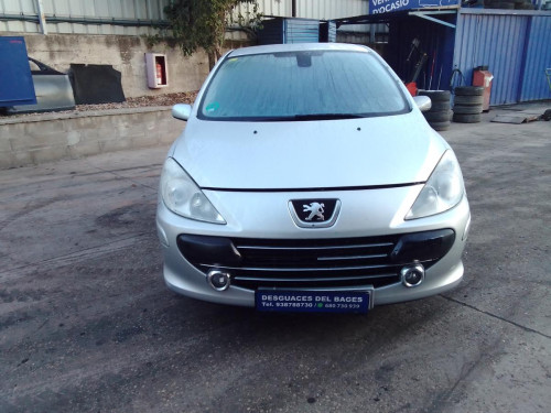  PEUGEOT 307 BERLINA (S2) 