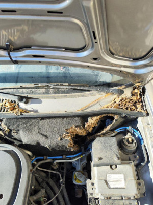 BRAZO LIMPIA DELANTERO IZQUIERDO