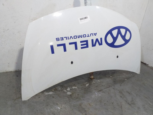 CAPO RENAULT CLIO III 