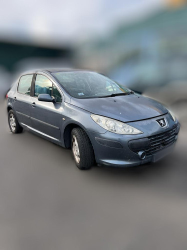  PEUGEOT 307 BERLINA (S2) 