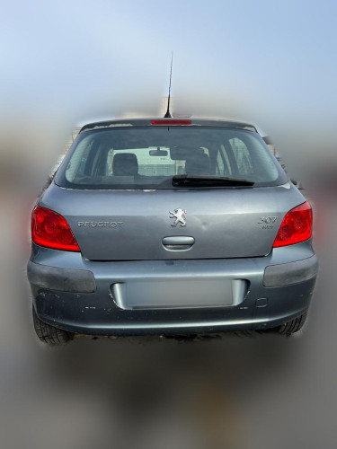  PEUGEOT 307 BERLINA (S2) 