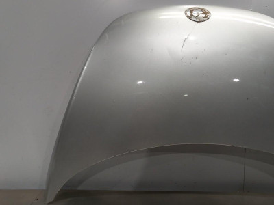 CAPO, VOLKSWAGEN, NEW BEETLE BERLINA (9C1/1C1)