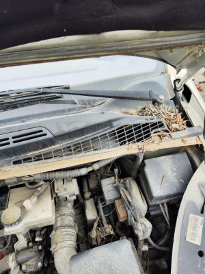 BRAZO LIMPIA DELANTERO IZQUIERDO