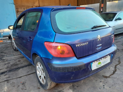 PEUGEOT 307 (S1)(04.2001)