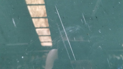 TECHO ELECTRICO, LAND ROVER, RANGE ROVER (LM)