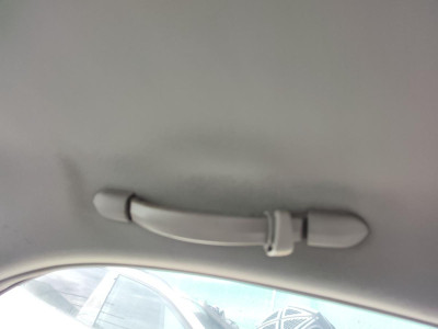 ASIDERO TECHO TRASERO IZQUIERDO