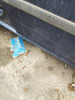 PUERTA TRASERA IZQUIERDA FORD FOCUS C-MAX (CAP)(2003) 