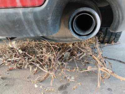 TUBO ESCAPE TRASERO, MAZDA, 6 BERLINA (GH)