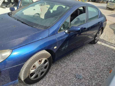 PEUGEOT 407