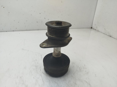 POLEA ALTERNADOR, Ford, FOCUS BERLINA (CAK)