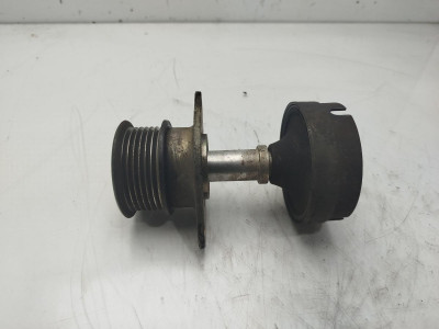 POLEA ALTERNADOR, Ford, FOCUS BERLINA (CAK)