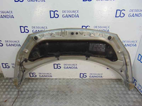  CAPO RENAULT SCENIC II (JM) 