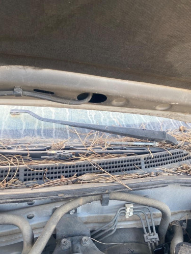 BRAZO LIMPIA DELANTERO DERECHO Nissan ALMERA (N15) 