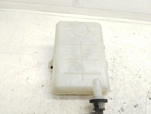 NO IDENTIFICADO RENAULT SCENIC IV 