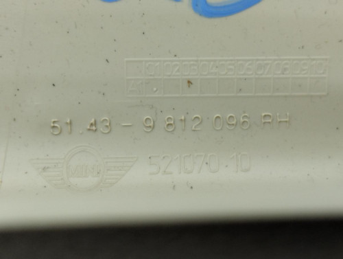 NO IDENTIFICADO BMW MINI COUNTRYMAN (R60) 