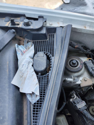 DEPOSITO LIMPIA RENAULT KANGOO I (F/KC0) 