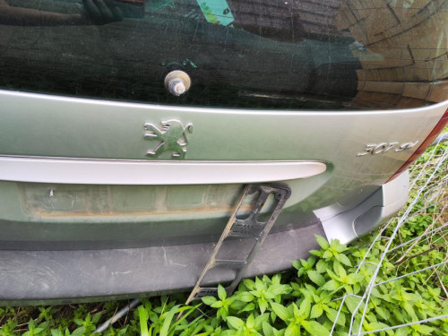  PEUGEOT 307 BREAK/ SW (S2) 