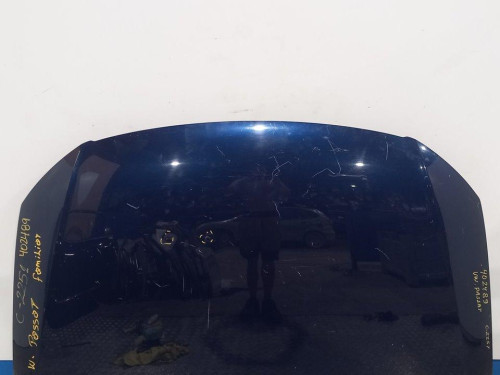  CAPO, VOLKSWAGEN, PASSAT VARIANT (3C5) 