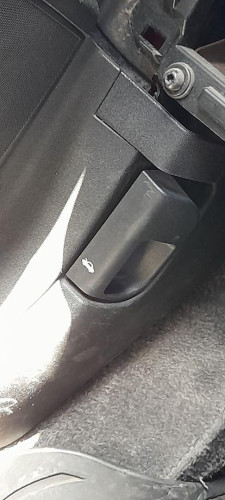 CERRADURA CAPO Fiat GRANDE PUNTO (199) 
