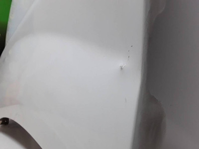 ALETA DELANTERA IZQUIERDA