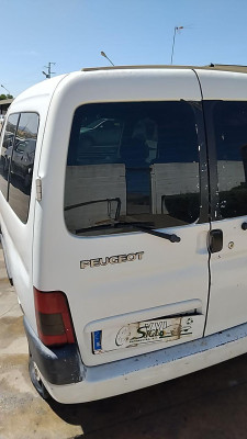 PORTON TRASERO IZQUIERDO Peugeot Partner (S2)(2002->)