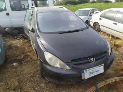 PEUGEOT 307 BREAK / SW (S1)(04.2002)