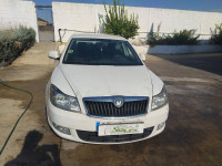 Skoda Octavia Berlina (1Z3)(2008->)