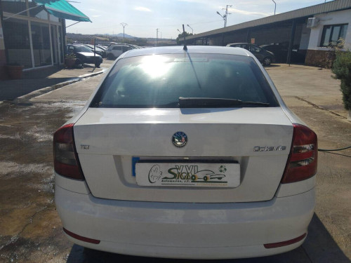  Skoda Octavia Berlina (1Z3)(2008->) SIN IDENTIFICAR 