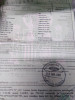  FORD FOCUS BERLINA (CAK) 