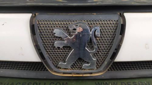  REJILLA DELANTERA Peugeot BOXER (290/330) FURGÓN BAT.2850MM (2002) 