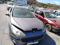 PEUGEOT 407 SW