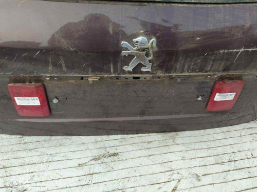  NO IDENTIFICADO PEUGEOT 407 