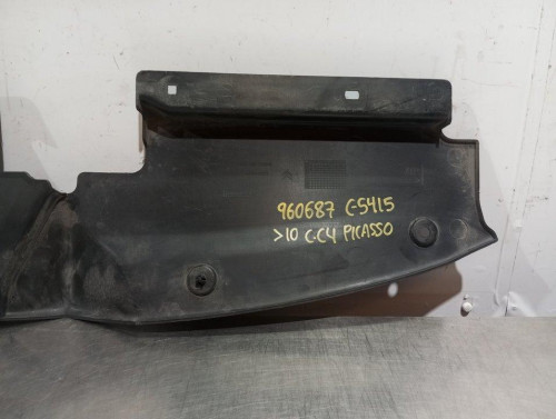  MOLDURA PARAGOLPE DELANTERA CITROEN C4 PICASSO 