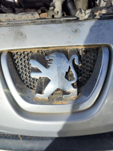 REJILLA DELANTERA Peugeot 207 