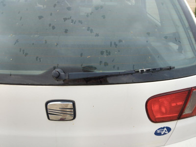 BRAZO LIMPIA TRASERO Seat Ibiza (6K1)(08.1999->)