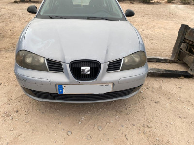 SEAT IBIZA (6L1)