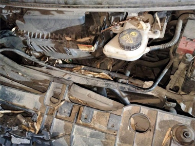 MOTOR ARRANQUE