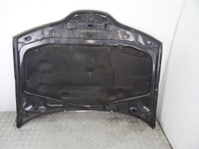 CAPO, RENAULT, LAGUNA II GRANDTOUR (KG0)