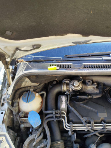  BRAZO LIMPIA DELANTERO DERECHO VOLKSWAGEN GOLF PLUS V (5M1) 