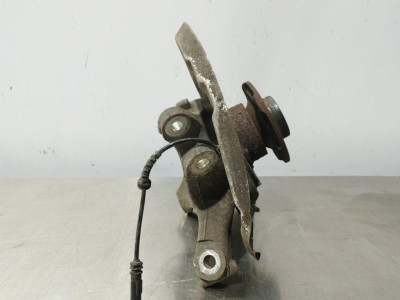 MANGUETA TRASERA IZQUIERDA, BMW, SERIE 5 BERLINA (F10)