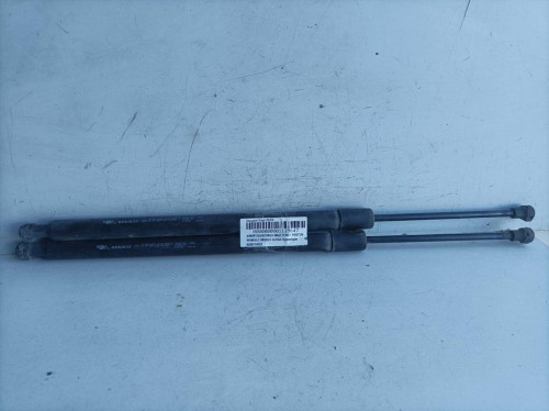  AMORTIGUADORES MALETERO / PORTON RENAULT MODUS I 